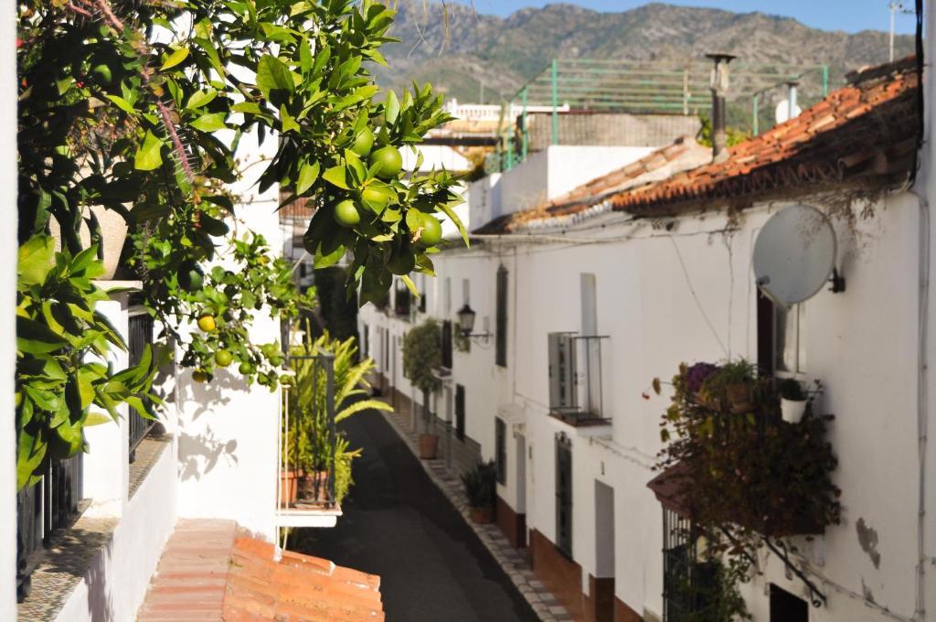 La Villa Marbella - Old Town Værelse billede